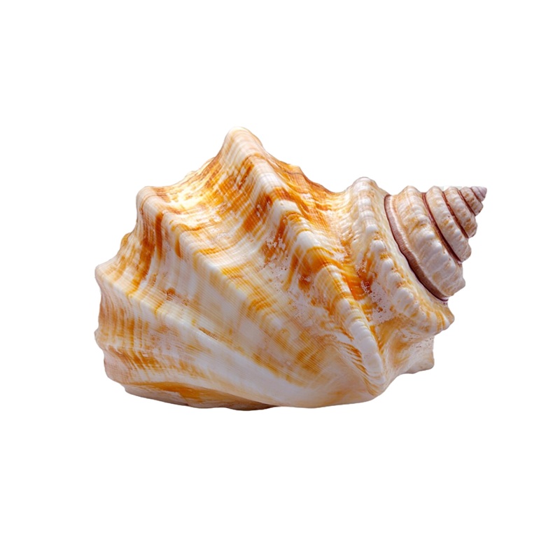 new-product-2