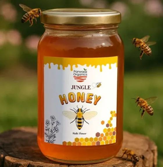 Raw Jungle Honey (500 gm)
