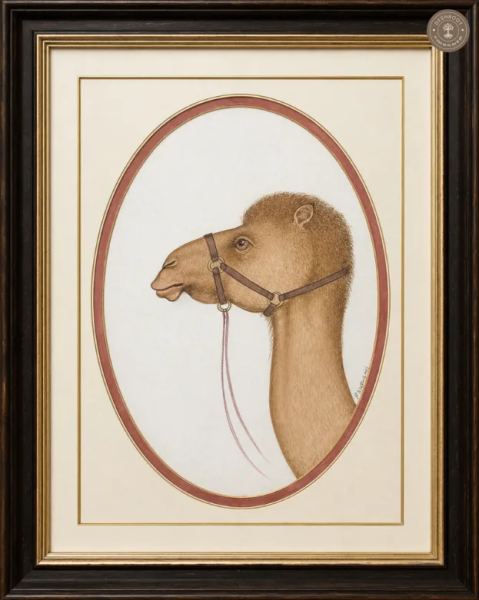 Desert Majesty – Camel of Rajasthan | Original Bikaner Miniature Painting