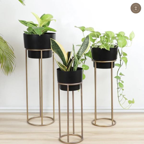 Black FLower Pot Planter Set of 3