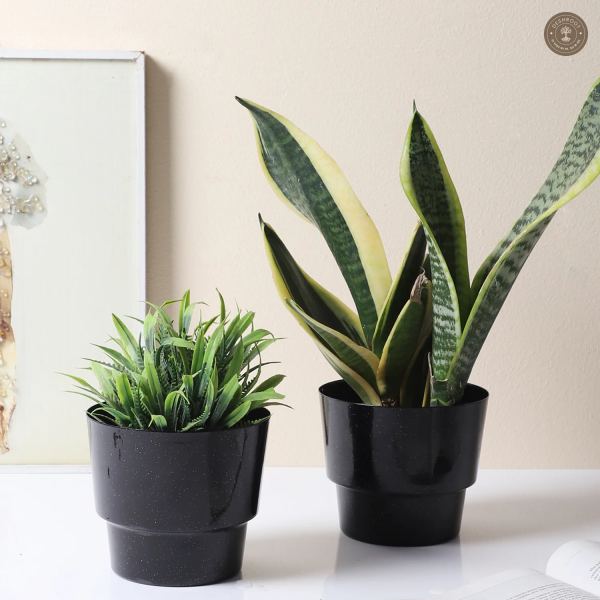 Black Glossy Table Top Planter Set of 2