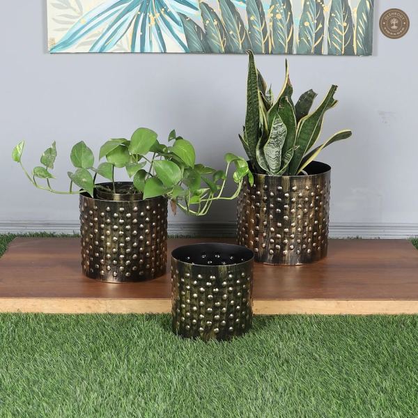 Black & Gold Dot Hammred Planter Set of 3