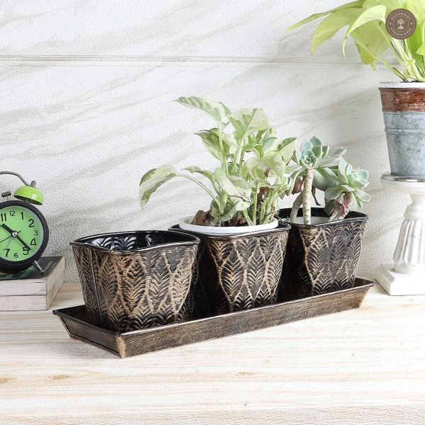 Black & Gold Metal Table Planters with Tray Set of 4