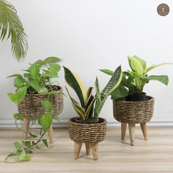 Biege Jute Planter Set of 3
