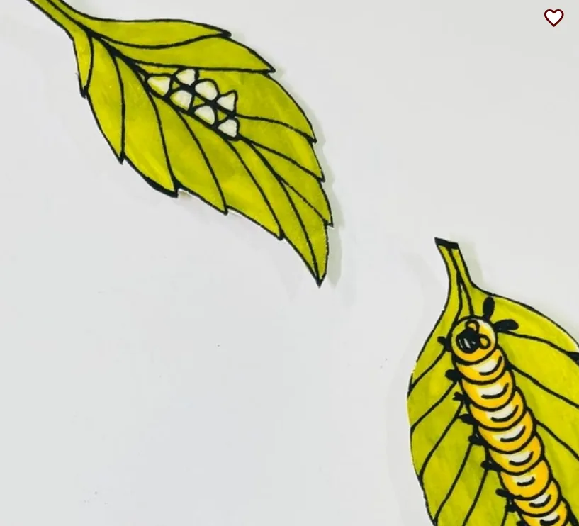 Leather Butterfly Life Cycle Fridge Magnets