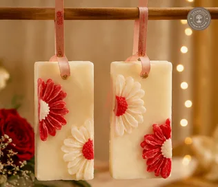 Floral Elegance Wax Tablets (Pack of 2) – Scented Wardrobe Freshener with Daisy Design