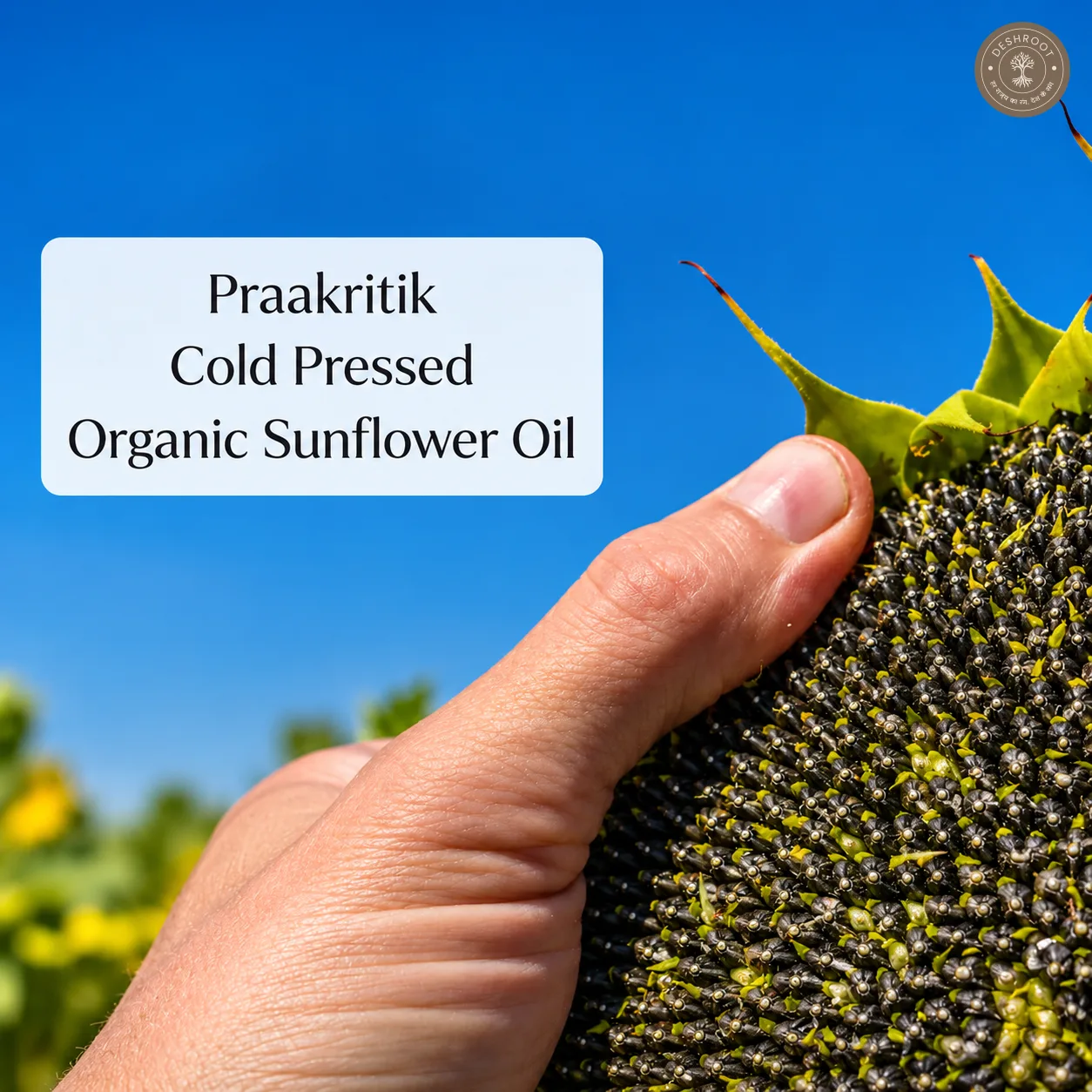 Organic Cold Pressed Sunflower Oil 500ML