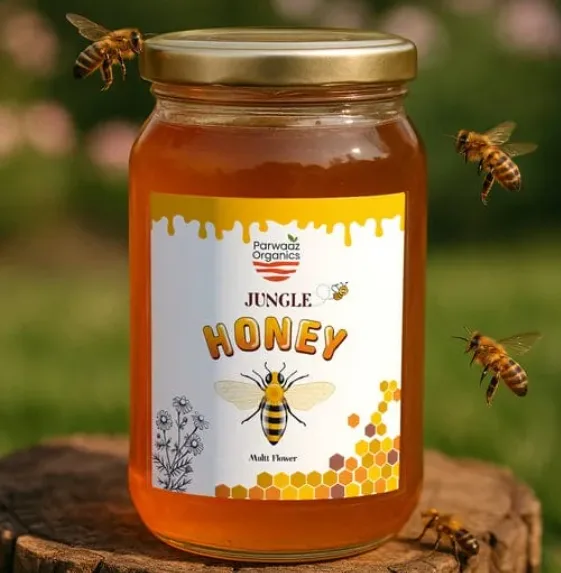 Raw Jungle Honey (500 gm)