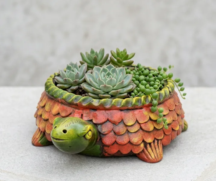 Handcrafted Terracotta Turtle Succulent Planter