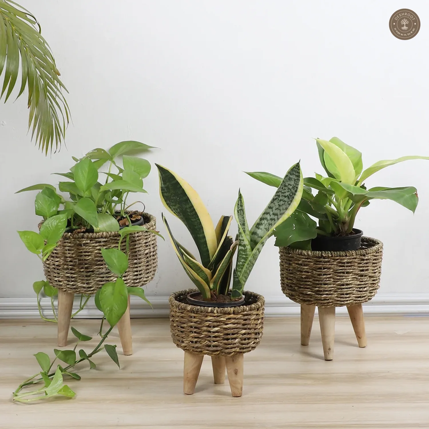 Biege Jute Planter Set of 3